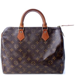 Louis Vuitton Speedy 30 Monogram