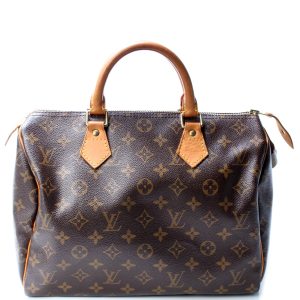 Louis Vuitton Speedy 30 Monogram