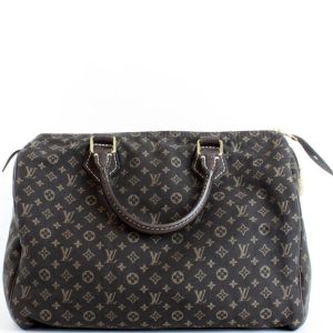 Louis Vuitton Speedy 30 Mini Lin