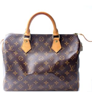 Louis Vuitton Speedy 30 Monogram