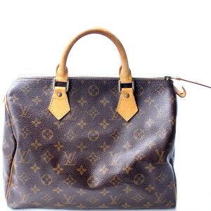 Louis Vuitton Speedy 30 Monogram