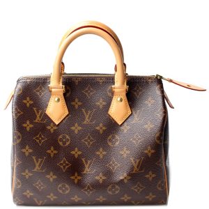 Louis Vuitton Speedy 25 Monogram