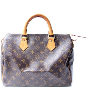 Louis Vuitton Speedy 30 Monogram