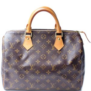 Louis Vuitton Speedy 30 Monogram
