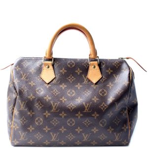 Louis Vuitton Speedy 30 Monogram