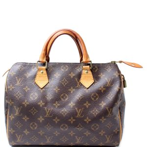 Louis Vuitton Speedy 30 Monogram