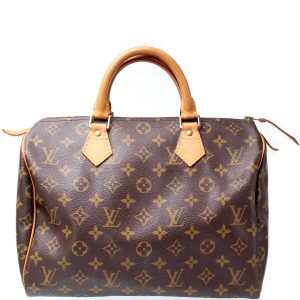 Louis Vuitton Speedy 30 Monogram