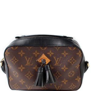 Louis Vuitton Saintogne Monogram