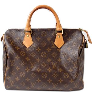 Louis Vuitton Speedy 30 Monogram