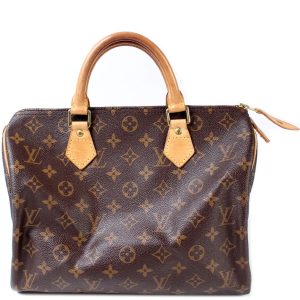 Louis Vuitton Speedy 30 Monogram