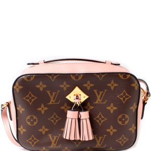 Louis Vuitton Saintogne Monogram