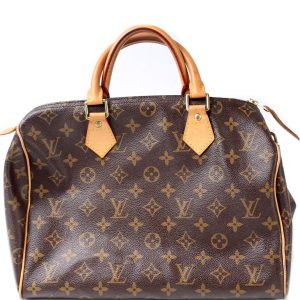Louis Vuitton Speedy 30 Monogram