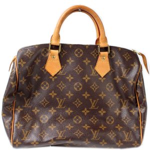 Louis Vuitton Speedy 30 Monogram