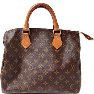 Louis Vuitton Speedy 30 Monogram