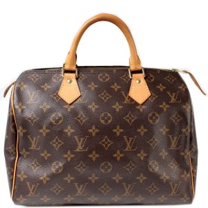 Louis Vuitton Speedy 30 Monogram