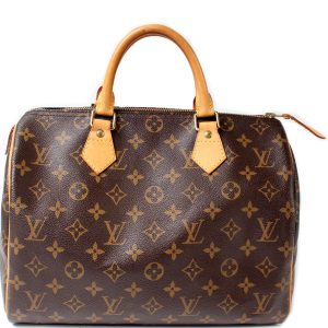 Louis Vuitton Speedy 30 Monogram