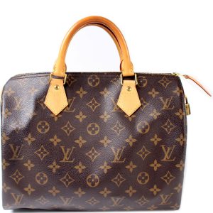 Louis Vuitton Speedy 30 Monogram