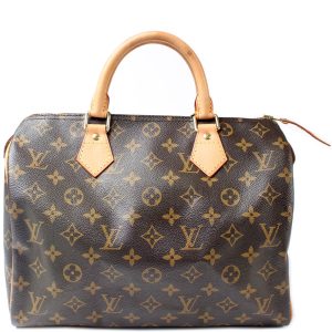 Louis Vuitton Speedy 30 Monogram