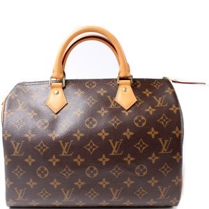 Louis Vuitton Speedy 30 Monogram