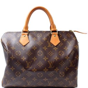 Louis Vuitton Speedy 30 Monogram