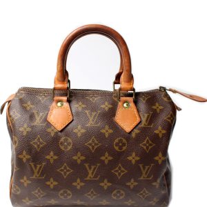 Louis Vuitton Speedy 25 Monogram