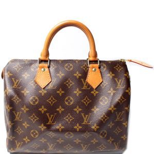 Louis Vuitton Speedy 30 Monogram