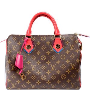 Louis Vuitton Speedy 30 Totem
