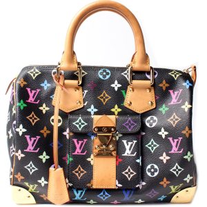 Louis Vuitton Speedy 30 Multi