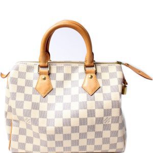 Louis Vuitton Speedy 25 Azur