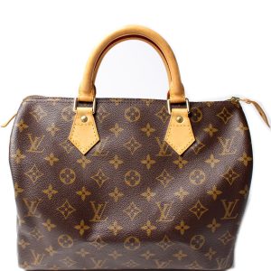 Louis Vuitton Speedy 30 Monogram