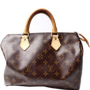 Louis Vuitton Speedy 30 Monogram