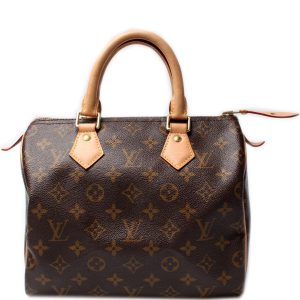 Louis Vuitton Speedy 25 Monogram
