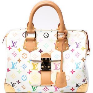 Louis Vuitton Speedy 30 Multicolor