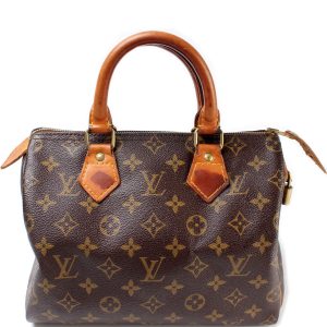 Louis Vuitton Speedy 25 Monogram