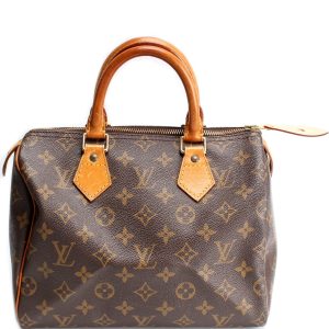 Louis Vuitton Speedy 25 Monogram