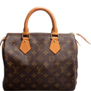 Louis Vuitton Speedy 25 Monogram