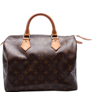Louis Vuitton Speedy 30 Monogram