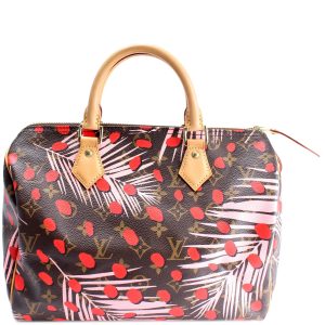 Louis Vuitton Speedy 30 Jungle Dots Monogram