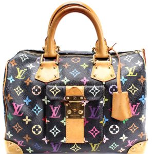 Louis Vuitton Speedy 30 Multicolor Monogram