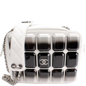 Chanel Evening Art Embellished Camera Bag