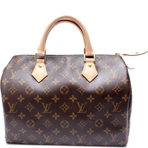 Louis Vuitton Speedy 30 Monogram