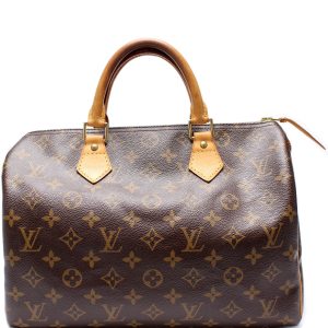 Louis Vuitton Speedy 30 Monogram
