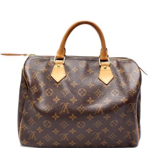 Louis Vuitton Speedy 30 Monogram