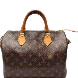 Louis Vuitton Speedy 30 Monogram