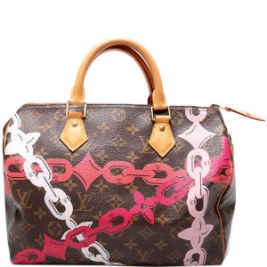 Louis Vuitton Speedy 30 Bay Monogram