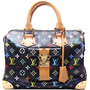 Louis Vuitton Speedy 30 Multicolor