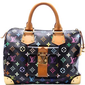 Louis Vuitton Speedy 30 Multicolor