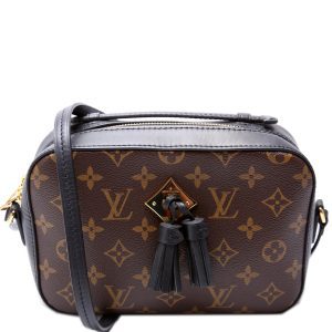 Louis Vuitton Saintogne Monogram