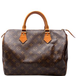 Louis Vuitton Speedy 30 Monogram