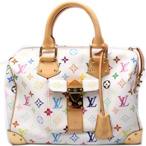 Louis Vuitton Speedy 30 Multicolor